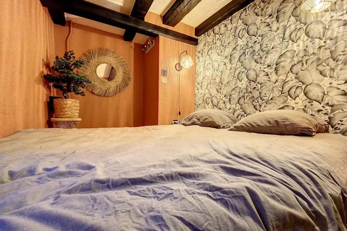 Le Terracotta Des Antiquaires, Appartement Avec Mezzanine Grenoble France