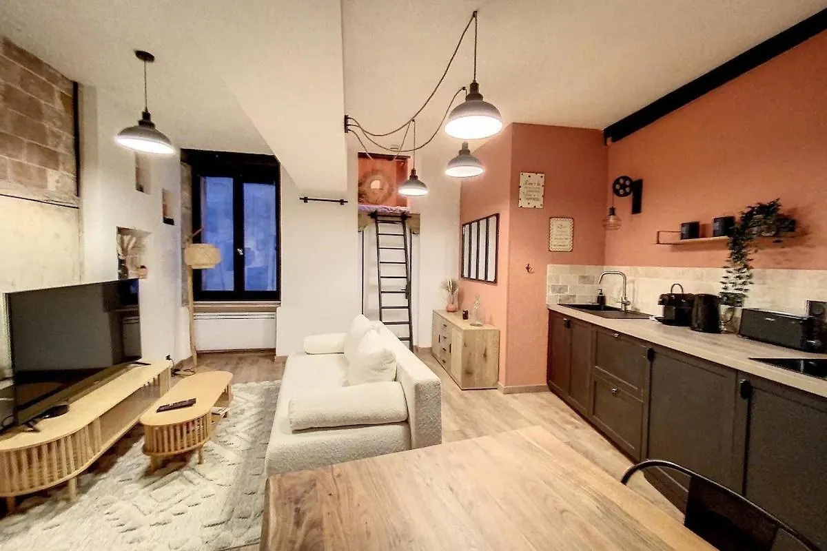 Le Terracotta Des Antiquaires, Appartement Avec Mezzanine Grenoble 0*,